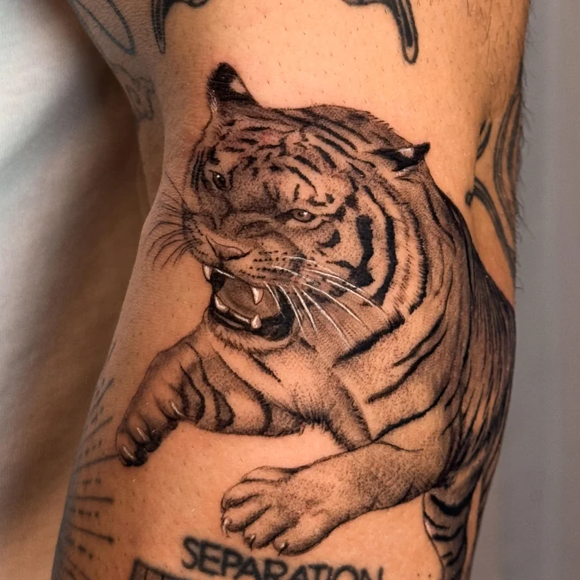 Tigre no braço