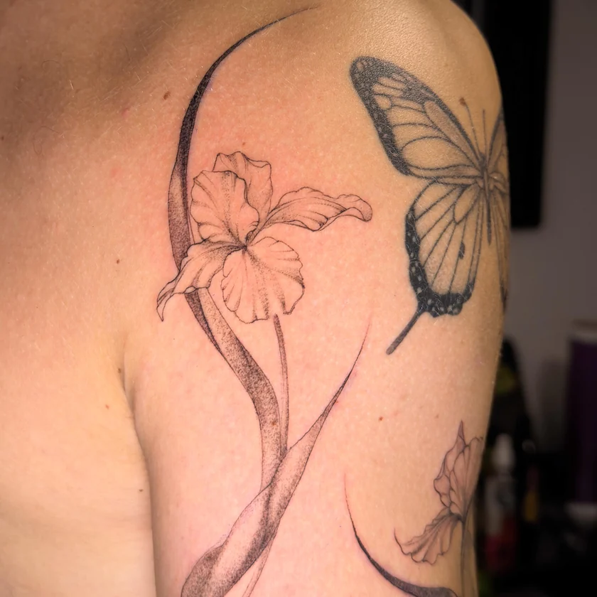 Flores desenhadas a traço