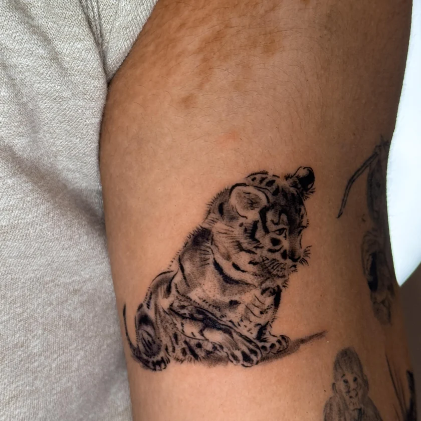 Pequeno tigre no braço